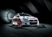 Fiat Grande Punto Abarth S2000